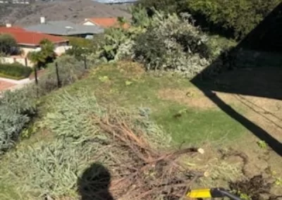 Professional Junk Hauling