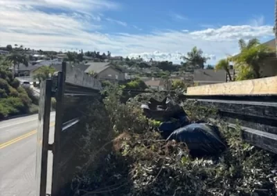 Professional Junk Hauling