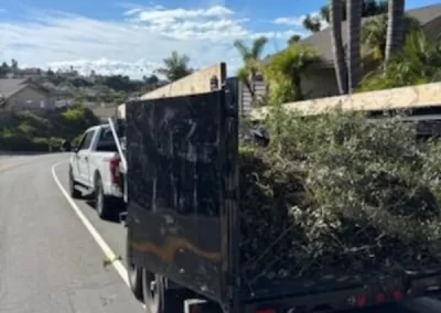 Professional Junk Hauling