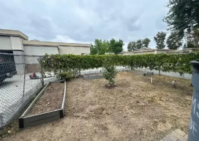 Professional Junk Hauling