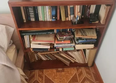 Professional Junk Hauling